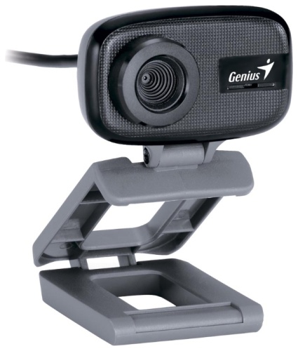 Веб камера Genius FaceCam 321 <0.3Mpix/640x480/серая/микрофон/USB2.0>