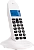 Р/Телефон Dect Motorola C1001LB+ <база + трубка/50 номеров/фиолетовый> (107C1001VIOLETA)
