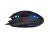 Мышь A4 X-77 черный оптическая (2400dpi) USB (8but)