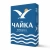 Бумага офисная A4 Чайка, 80 г/м2, 162% CIE, 500 листов